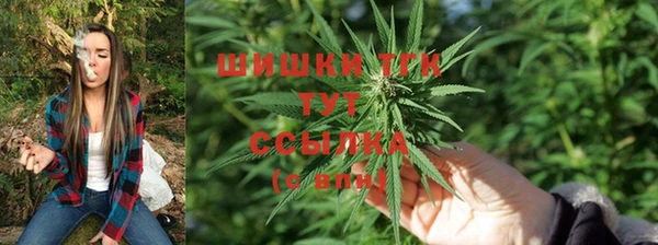 прущие крисы Абаза