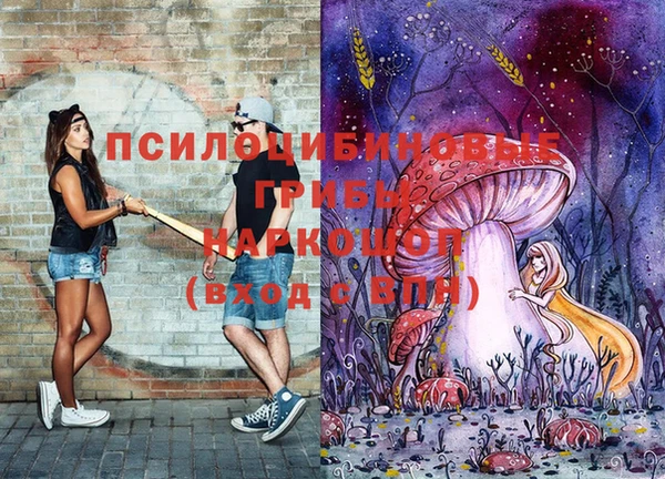 прущие крисы Абаза