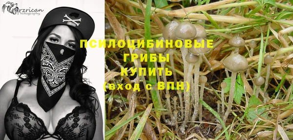 скорость Алексин