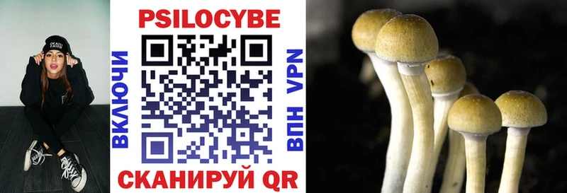 Псилоцибиновые грибы прущие грибы  где продают наркотики  Шиханы 